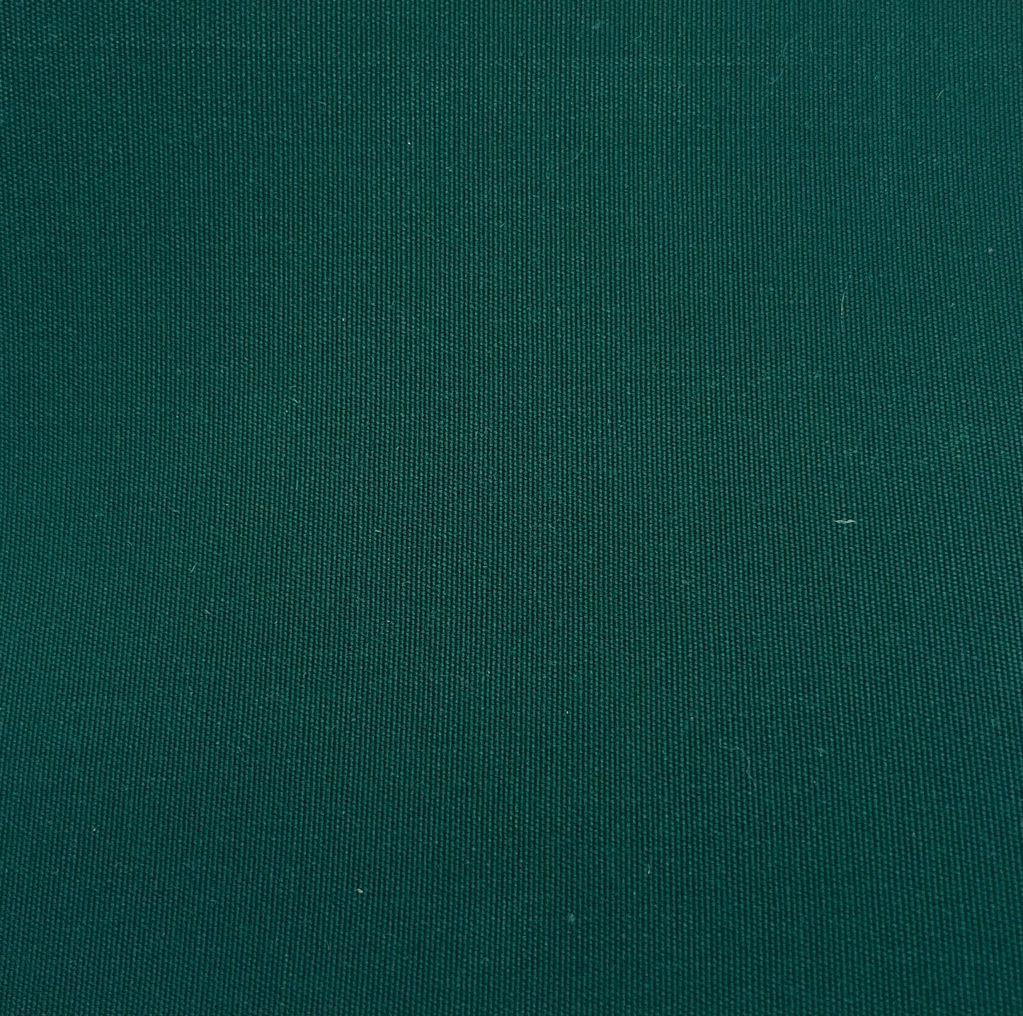 12" x 60" Canvas Sunpatch